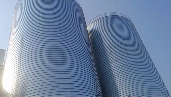 五河2座混凝土高架卷板仓